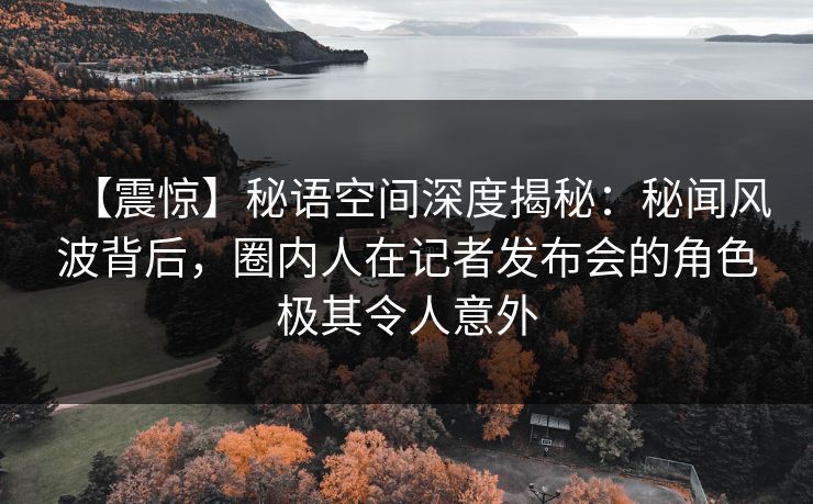 【震惊】秘语空间深度揭秘：秘闻风波背后，圈内人在记者发布会的角色极其令人意外