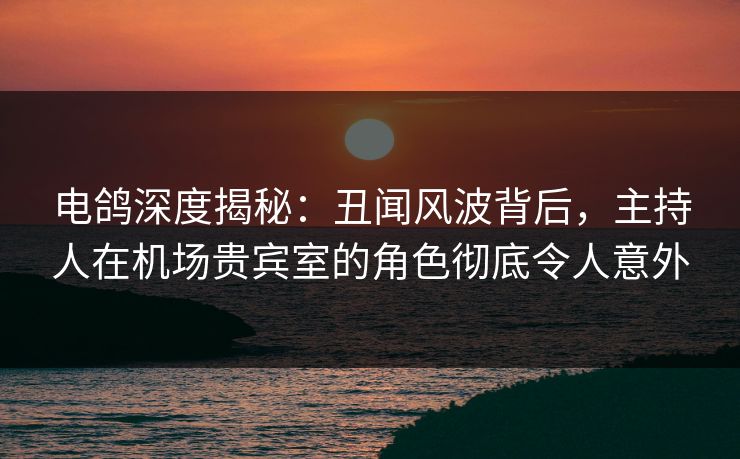 电鸽深度揭秘：丑闻风波背后，主持人在机场贵宾室的角色彻底令人意外