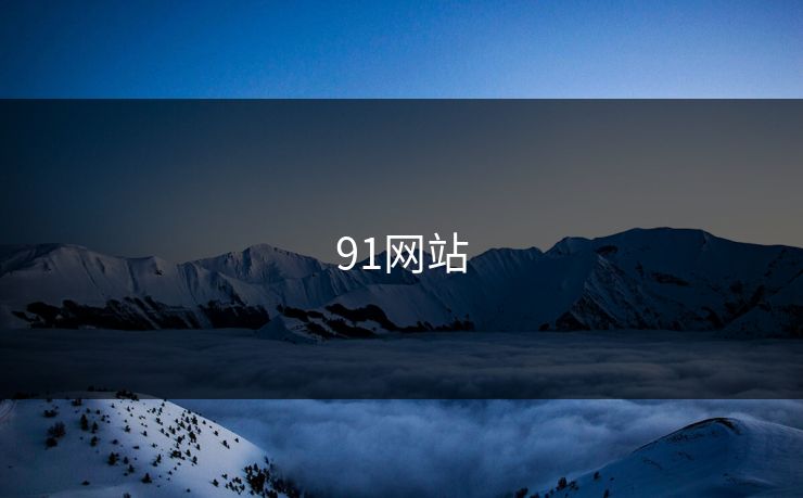 91网站