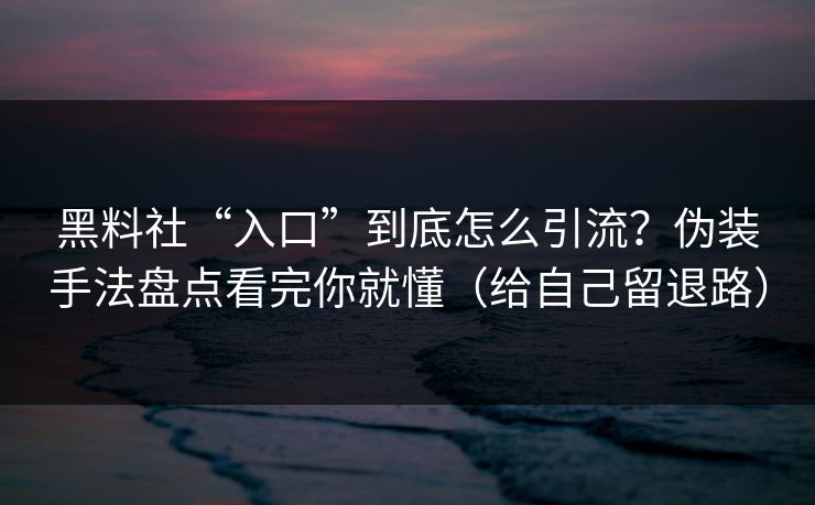 黑料社“入口”到底怎么引流？伪装手法盘点看完你就懂（给自己留退路）