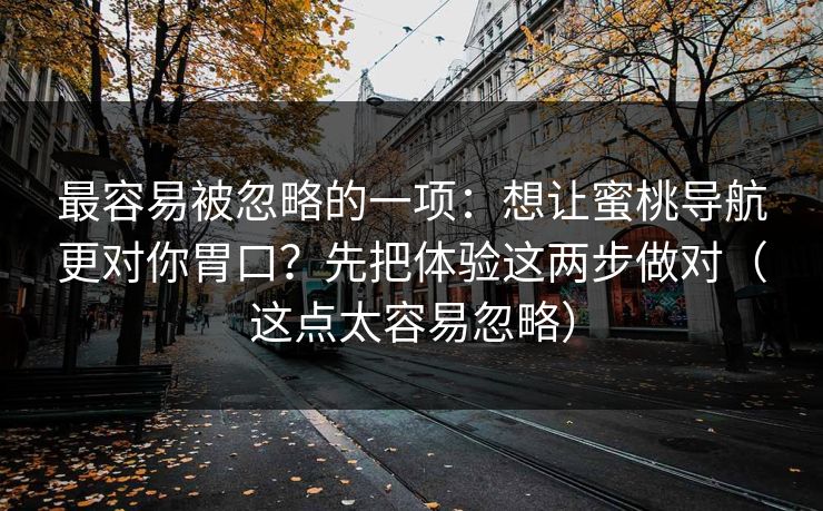 最容易被忽略的一项：想让蜜桃导航更对你胃口？先把体验这两步做对（这点太容易忽略）